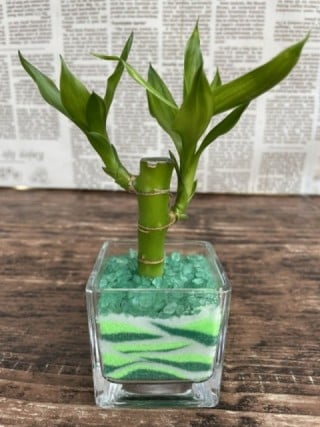 ブロック型グラスは癒しの緑